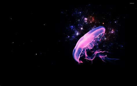 Download astronaut wallpaper for android or iphone. Free photo: Jellyfish Digital Wallpaper - Aquarium ...