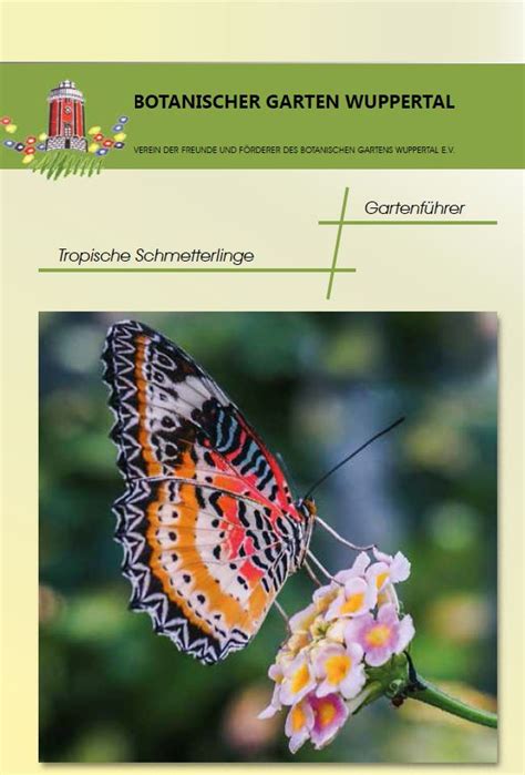 An admission fee is charged. Tropische Schmetterlinge | Botanischer Garten Wuppertal