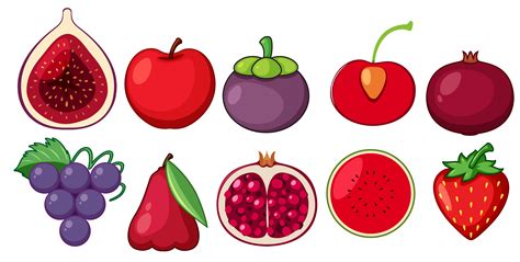 A Set Of Fresh Fruits Vector Art At Vecteezy