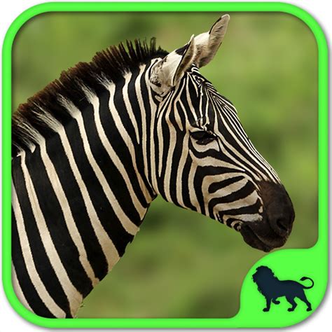 Wild animal puzzles for kids free: safari zoo games with real animals.