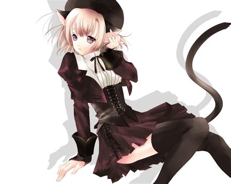 Pink Haired Cat Girl Wearing Gothic Lolita Costume Digital Wallpaper