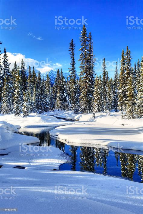 Winter River Scene Stock Photo Download Image Now Istock