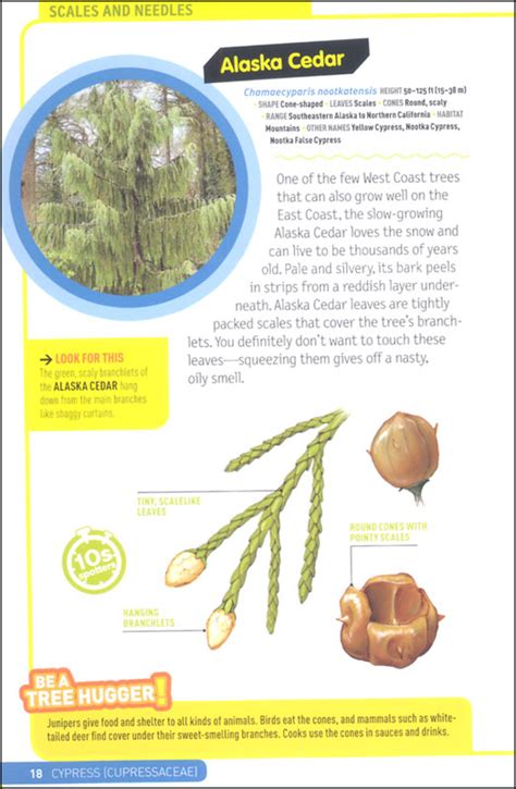 Ultimate Explorer Field Guide Trees National Geographic Kids