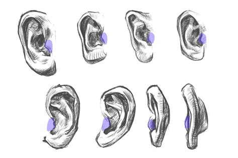 How To Draw Anime Ears A Simple Three Step Guide Gvaats Workshop