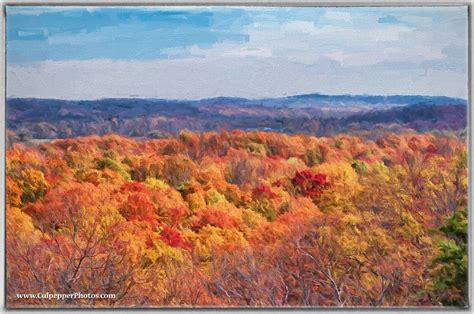 Photo Art The Image Used For This Rendering Was Of Fall Foliage In The