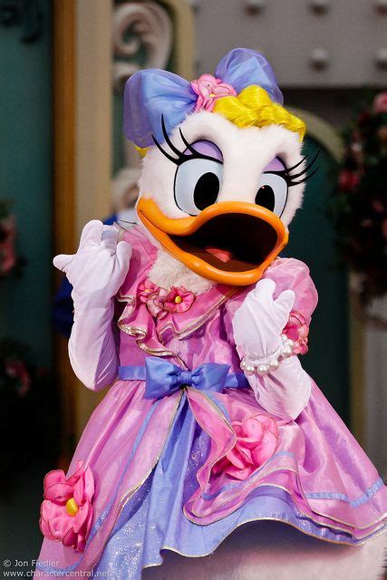 Daisy Daisy Duck Disney World Characters Donald And Daisy Duck