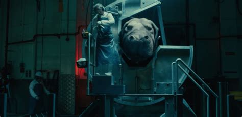 Okja Is Not As Far From Fiction As You Might Think Peta