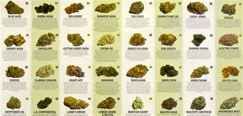 Whats The Story Behind Cannabis Strain Names
