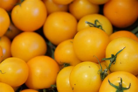 Free Images Fruit Food Produce Vegetable Yellow Healthy Tomato