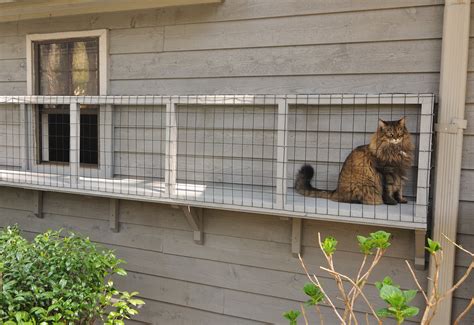How To Build A Cat Window Enclosure Cats Ghy