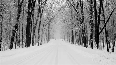 Snowy Road Wallpaper Winter Nature Wallpapers In  Format For Free