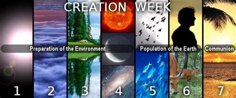 Dig Deeper Sanctuary Series 7 Days Of Creation 7 Days Of Creation