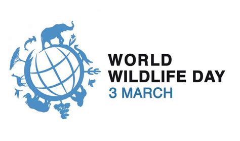 World Wildlife Day March 03 Latest News And Information