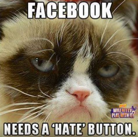 Facebook Needs A Hate Button Funny Grumpy Cat Meme Picture