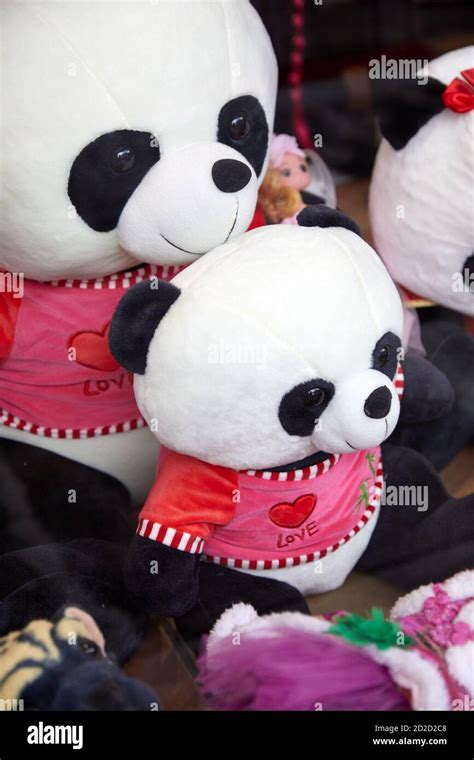 Panda Teddy Bears Stock Photo Alamy