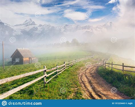 Beautiful Summer Landscape In A Mountain Village Foggy Morning Stock