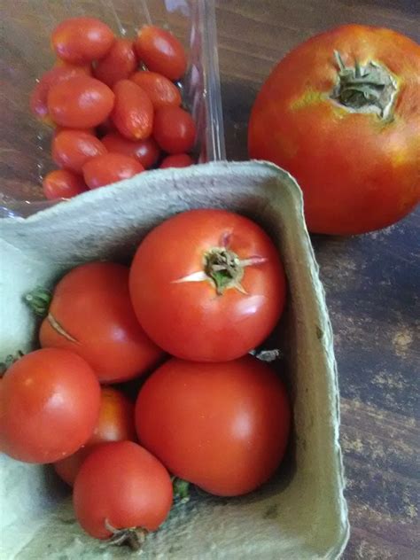 Delicious Tomatoes Mylot