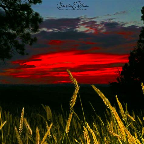 Perspective Grassy Crimson Sunset Bliss Photographics Perspective