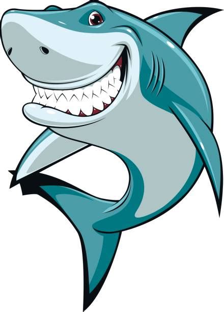 Cartoon Shark Illustrations Royalty Free Vector Graphics And Clip Art
