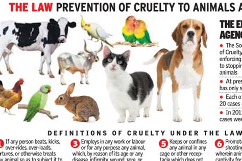 How Animal Cruelty Becomes A Problem