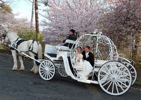 Wedding Carriage Rides Dream Horse Carriage Company