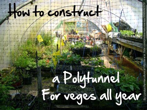How much do greenhouses cost in nz? How to build a polytunnel in 6 minutes. In New Zealand we need to extend our growing season ...