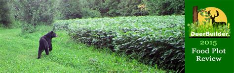 We did not find results for: DeerBuilder.com's Annual Food Plot Seeds Review - 2015