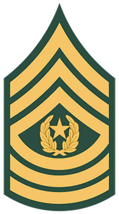 Regimental Sergeant Major Insignia