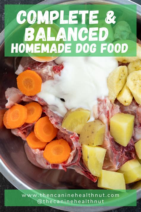 Complete And Balanced Homemade Dog Food Raw Dog Food Recipes Healthy