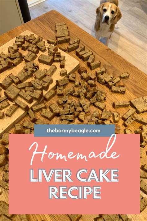 Soft Dog Treats Healthy Dog Treats Homemade Homemade Dog Food Liver