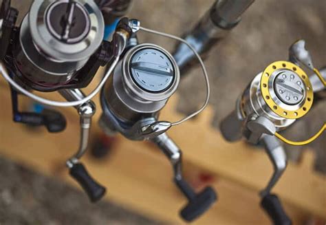 Different Types Of Fishing Reels The Complete Guide