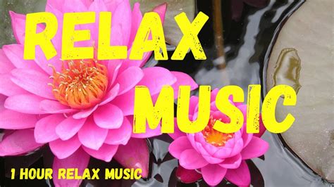 Relax Music 1 Hour Deep Relaxing Music Youtube