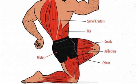 High Back Muscles Diagram Pin On Neck Pain Relief This Article