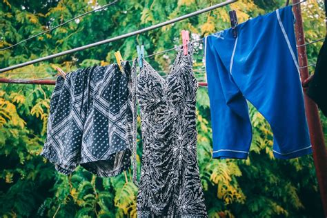 Free Stock Photo Of Clothes Drying Pegs