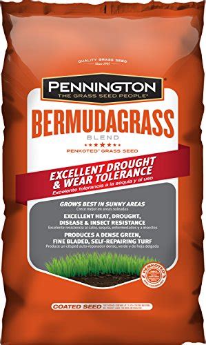 10 Best Bermuda Grass Seeds Tenz Choices