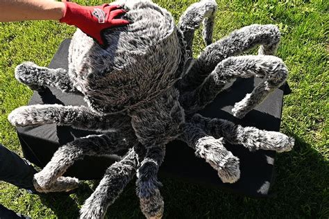 How To Make Giant Halloween Spiders Diy Giant Spider Decorations