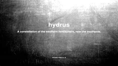 What Does Hydrus Mean Youtube