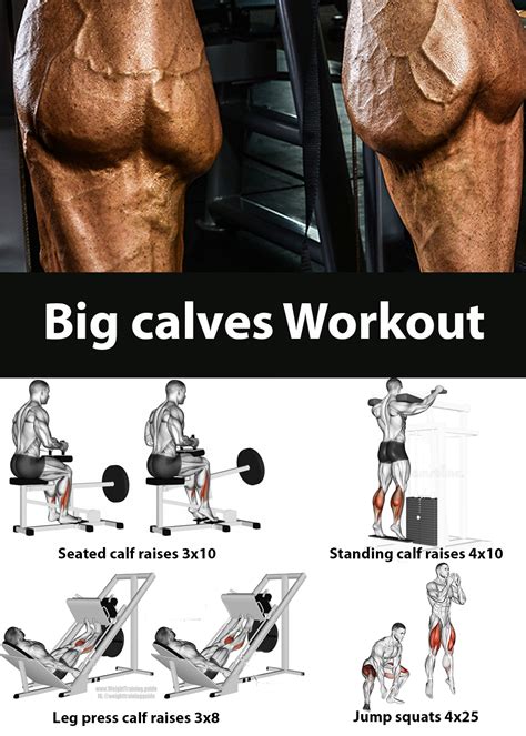 Big Calves Workout Calf Exercises Calf Muscle Workout Gym Workouts For Men