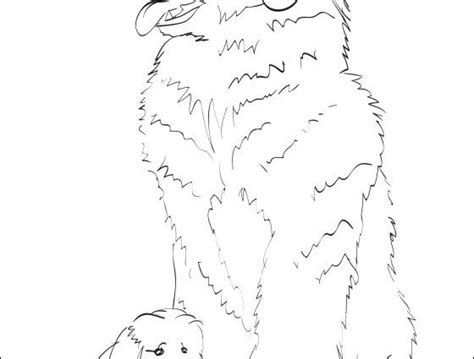 Newfoundland Coloring Pages At Getdrawings Free Download