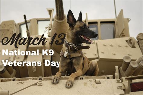 March 13 Celebrates National K9 Veterans Day Duotech Services