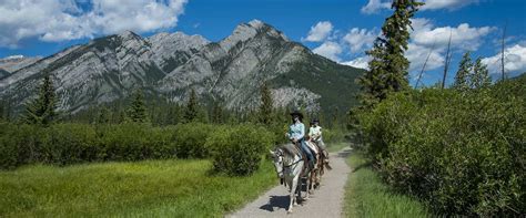 Bow River Horseback Ride A 1 Hr Ride On Bow River Trail