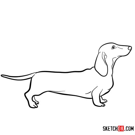 How To Draw The Dachshund Dog Sketchok Easy Drawing Guides