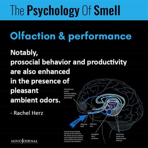 The Psychology Of Olfaction How Smell Can Influence Your Mood And Behavior