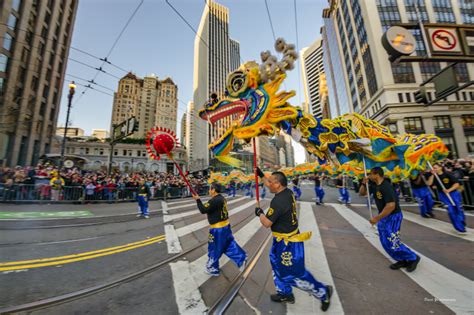 Found this bird cold and wet on the balcony floor this morning. 2021 Chinese New Year Parade (San Francisco) is Now Virtual