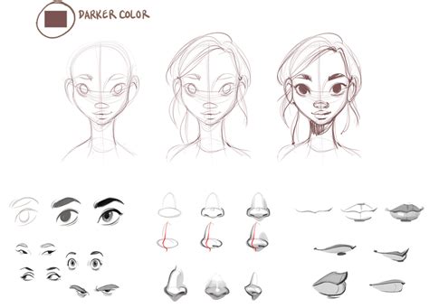 Creating basic face proportions using quarters and crosshairs. How to Draw Female Faces — Beautiful, symmetrical female ...