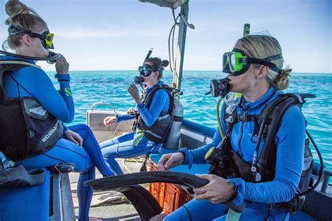 Top Scuba Diving Courses And Tours From Townsville Queensland
