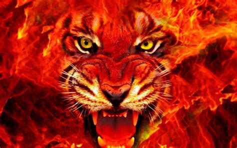 2020 4k garena free fire new. Animal Tiger Face Fire 4k Ultra Hd Wallpapers For Desktop ...