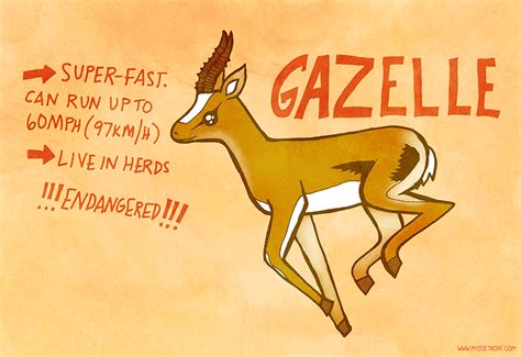 my zoetrope 098 gazelle