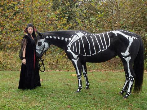 Horse Skeleton Paint