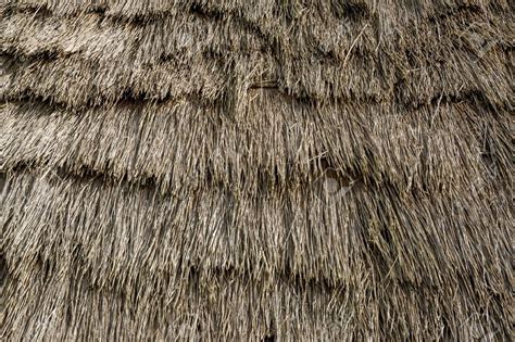 Product Thatched Roof Texture Thatch